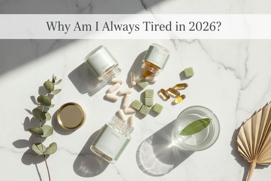 Why Am I Always Tired in 2026? 7 Supplements That Actually Help