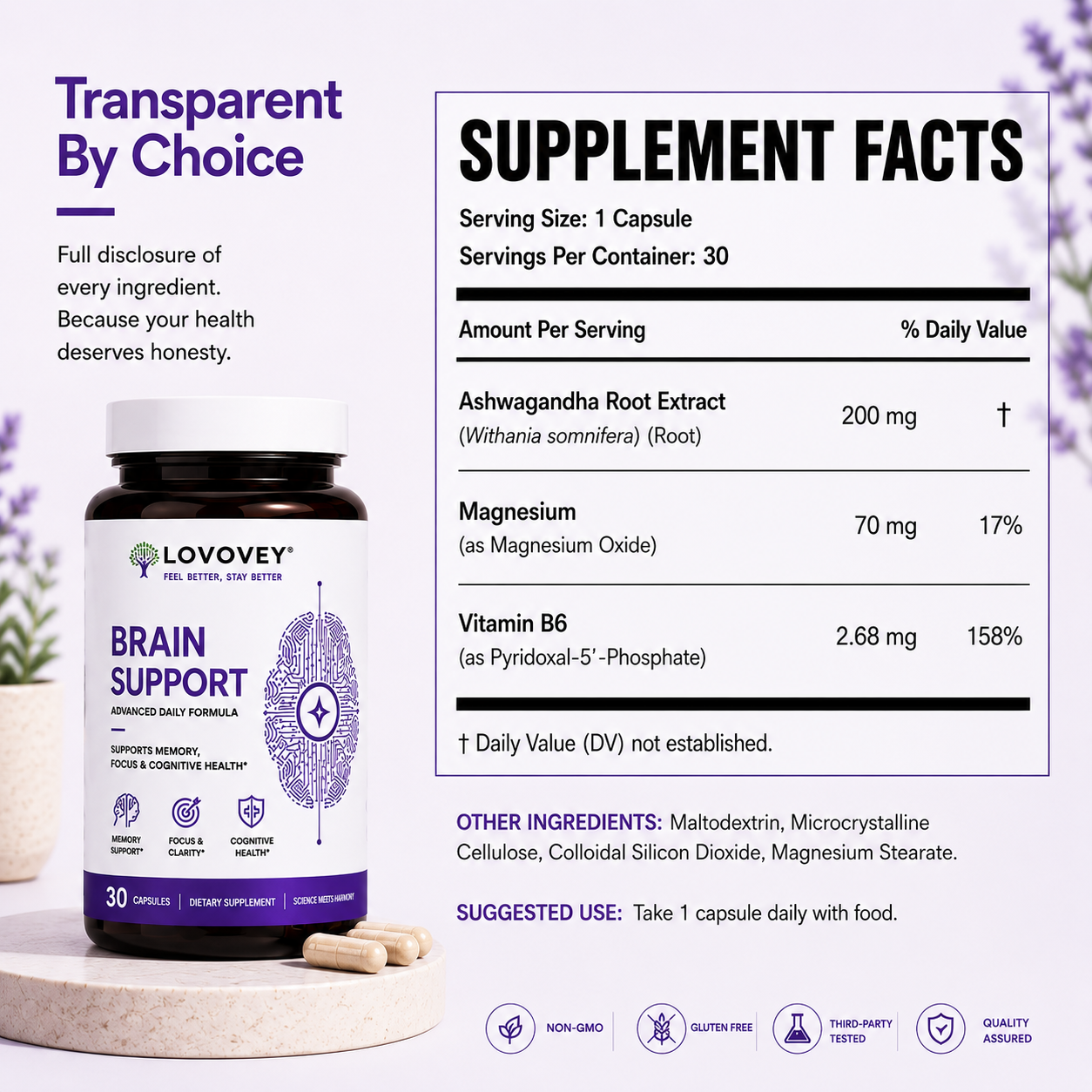 LOVOVEY Brain Support | Memory, Focus & Cognitive Wellness | 30 Capsules